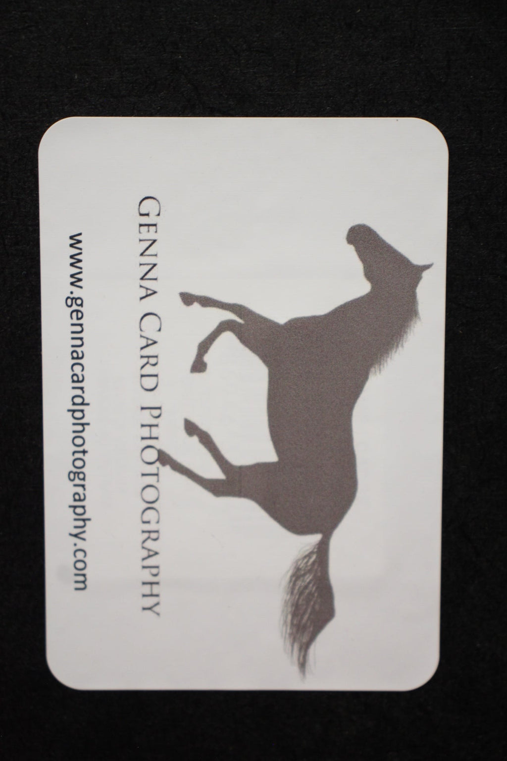 Design Horse Brown Genna Card Wall Art & Prints