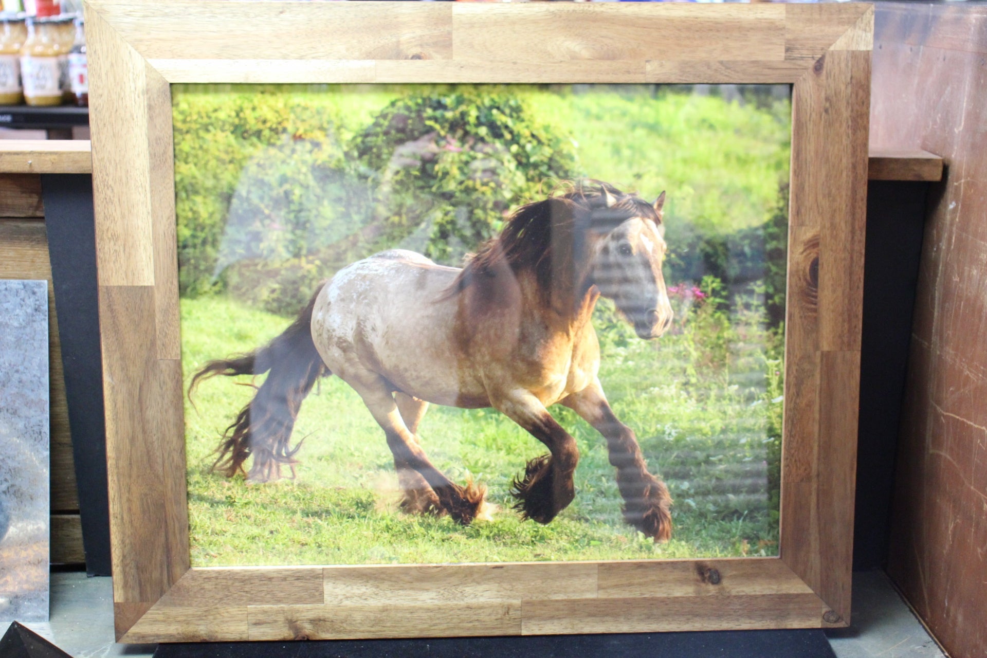 Design Horse Brown Genna Card Wall Art & Prints